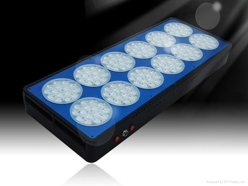 540W Led grow light for greenhouse