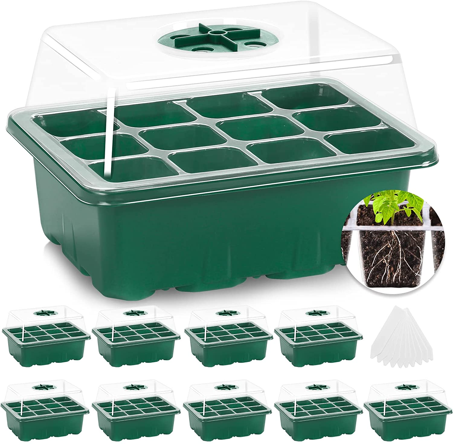 Hot sale seed 6 / 12 Cells per Tray germination vegetable plant plastic tray see