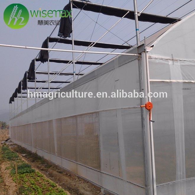 Multispan galvanized steel frame polytunnel low cost greenhouse for vegetable
