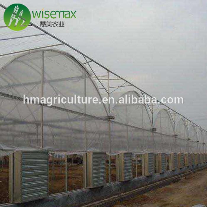 High light transmission plastic multi span arch pipes greenhouse for farm