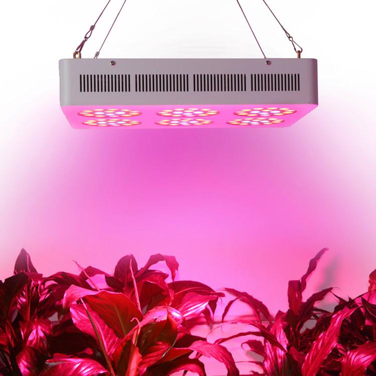 High Efficiency 6x45W Apollo 6 led grow light for green house, hydroponic