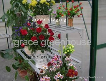 greenhouse flower rack