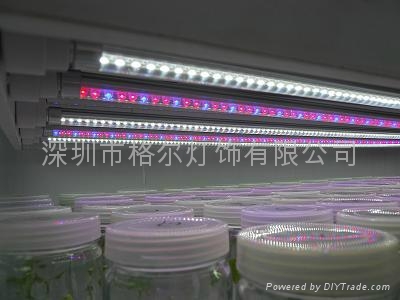 led T8 tube grow light for the supermarket