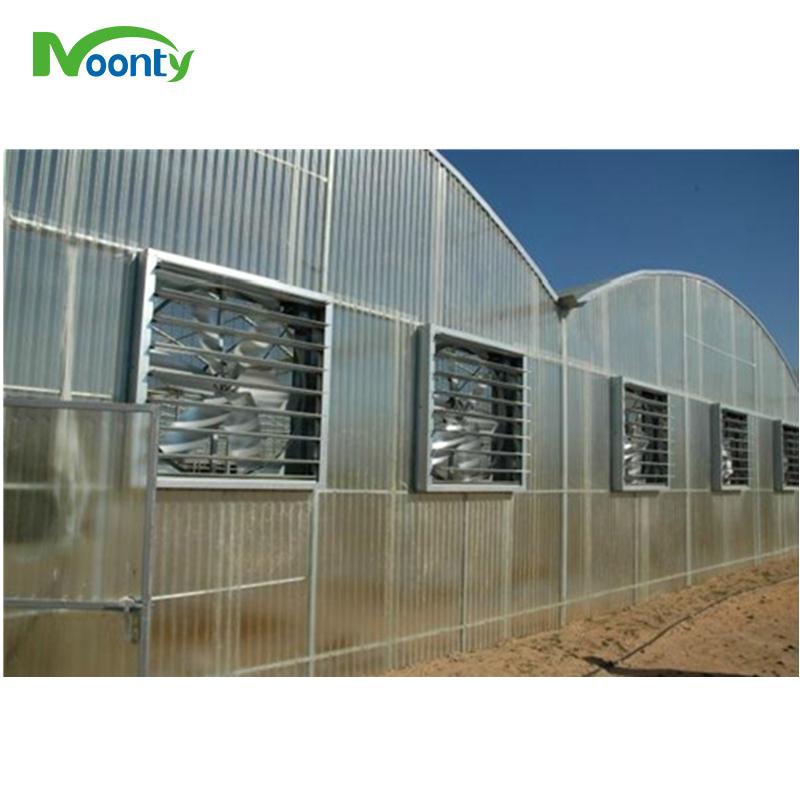 Polycarbonate（PC） Covering Multi span greenhouse