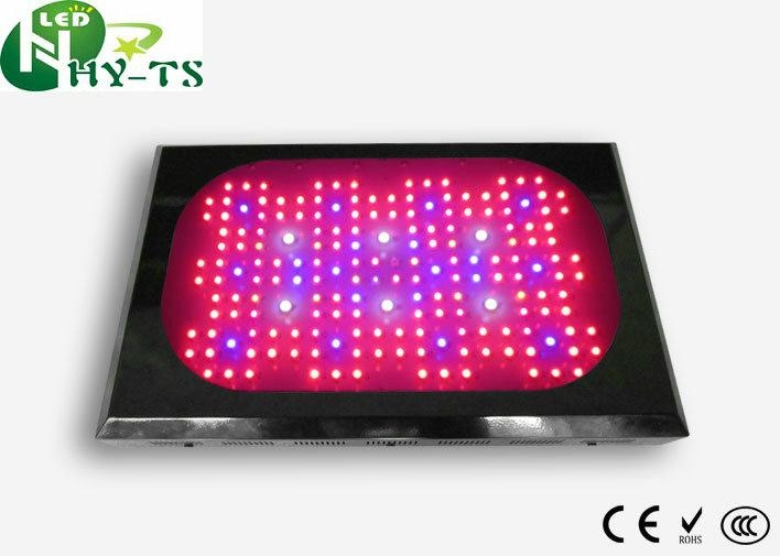 Led Greenhouse Lamp  Led Grow Lights For horticulture hydroponics bonsai Grow