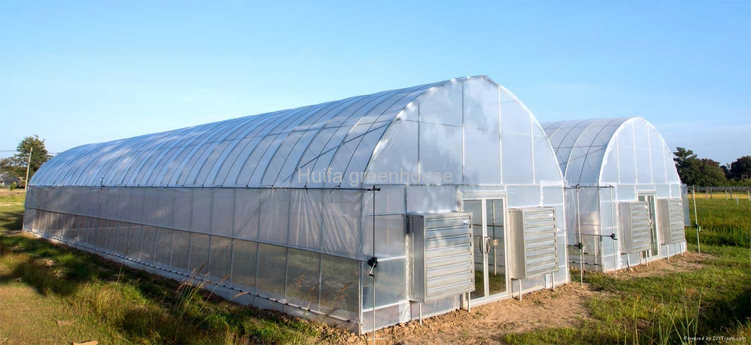 Agricultural Tunnel Film Greenhouse