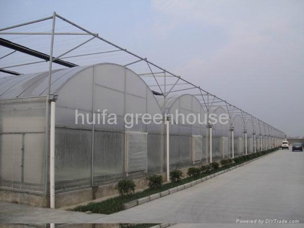 Multi-Span Greenhouse