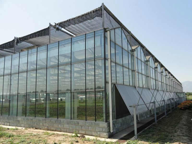 The Cheapest and Easily Installed Sainpoly Agricultural/Commercial Glass Greenho