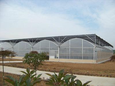 Multi Span Plastic Greenhouse for Agriculture