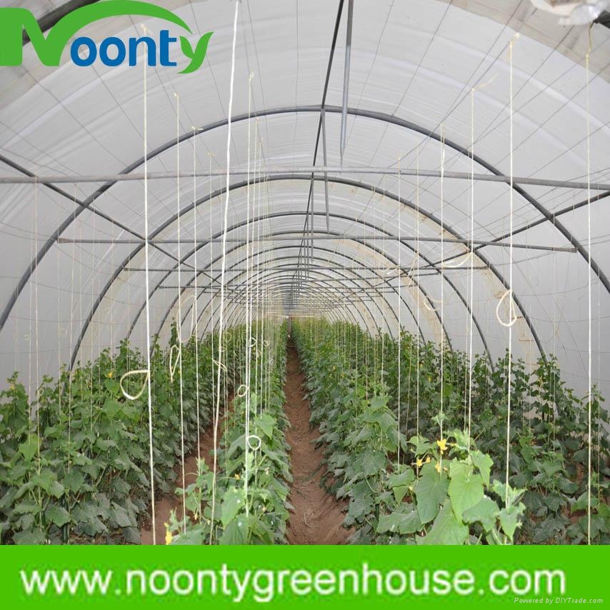 Single Tunnel Greenhouse