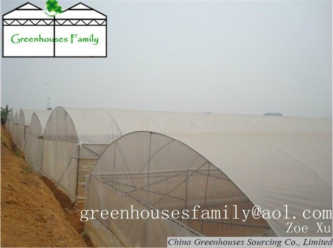 Plastic Gutter Greenhouses