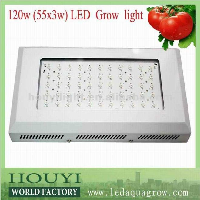 ce rohs 120w 55*3w led grow lighting for plant with red and blue moonlight