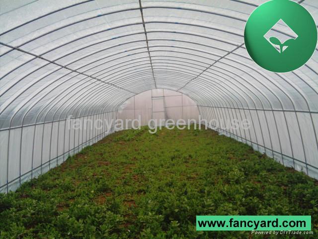 Greenhouse,Green House,House Green,Economical Plastic Tunnel Greenhouse