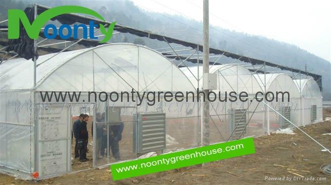 Gothic Arch Greenhouse