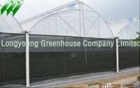 Saw Tooth Greenhouse