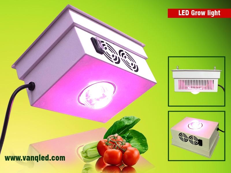 New model 150W cob grow led lights for vegetable and flowering