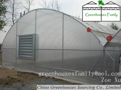 Commercial Agricultural Gutter Connected Greenhouses
