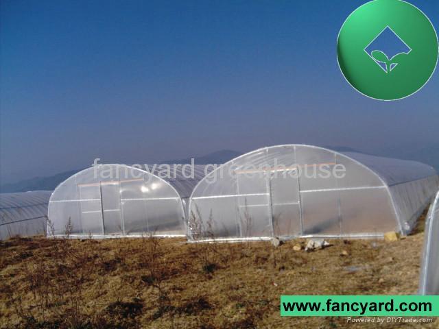 Economical Plastic Tunnel Greenhouse,Vegetable Greenhouse, Flower Greenhouse
