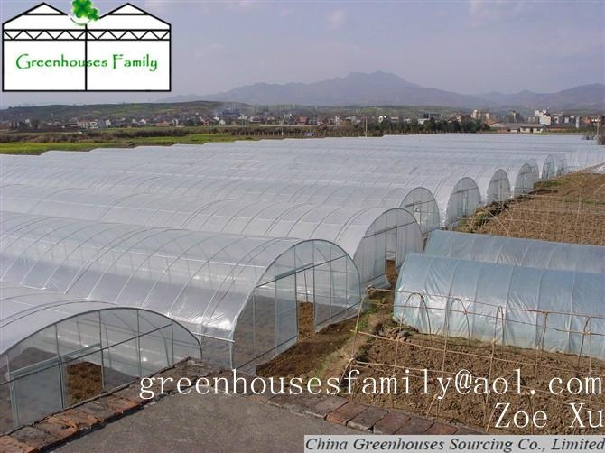 Galvanized Poly Tunnels Plastic Greenhouses