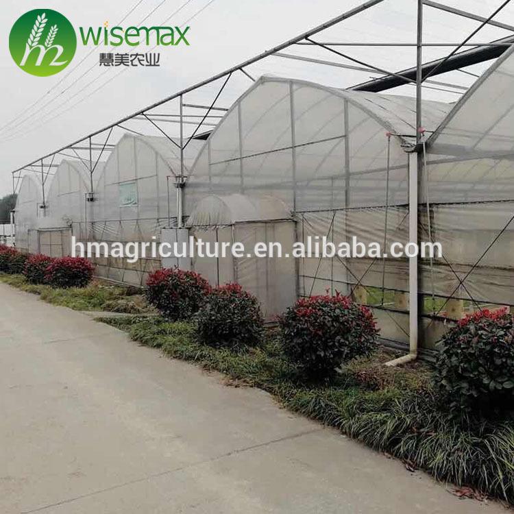 Hot galvanized steel frame agricultural tomato greenhouse tent for sale