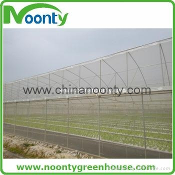Farm Multi-spans greenhouse