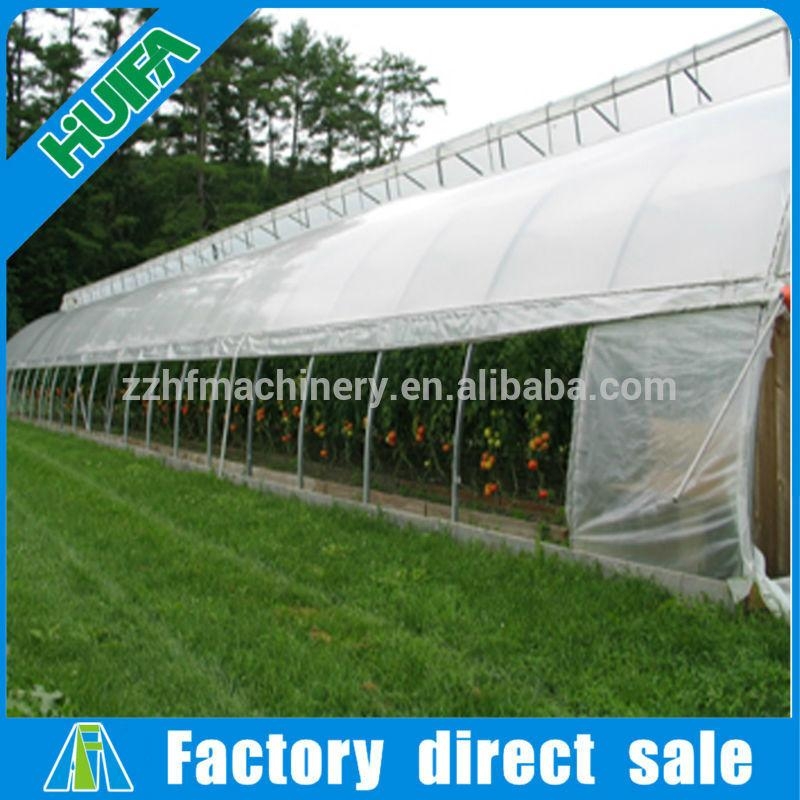 High Popular Vegetable Tunnel Agricultural Greenhouse