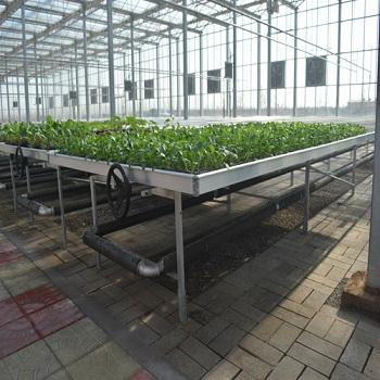 Rolling Wire Greenhouse Bench Grow Tray Ebb and Flow Table Systems