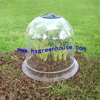 Bell cloche greenhouse