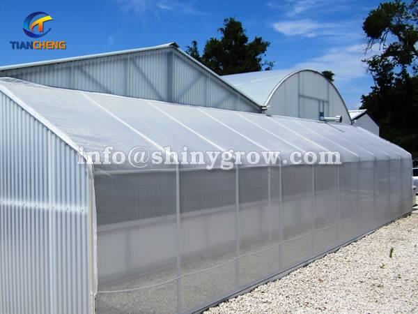 Greenhouse Insect Screen for High Planting Percent &amp; Seedling Quality