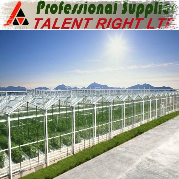 4mm tempered Agricuntural Greenhouse glass with CE from China