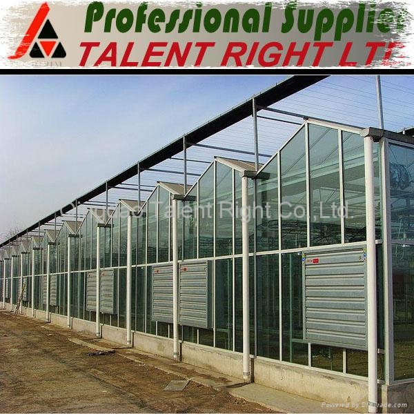 3.2mm 4mm tempered Agricuntural Greenhouse glass with CE from China