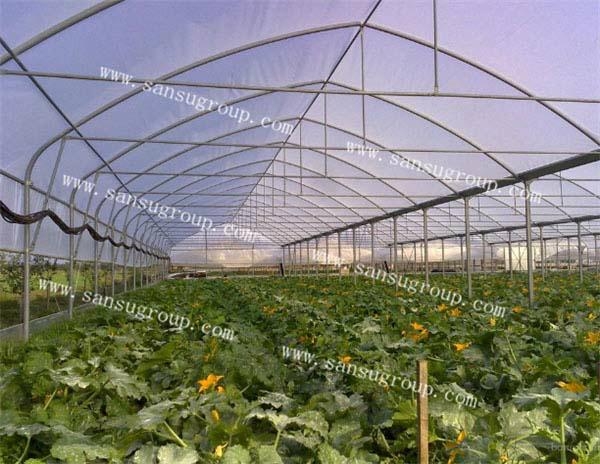 high quality EVA greenhouse for sale