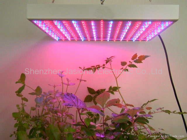 new 80W super decoration plant grow light, horticultural light