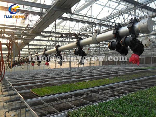 Greenhouse Sprinkler – Overhead Watering System for Greenhouse