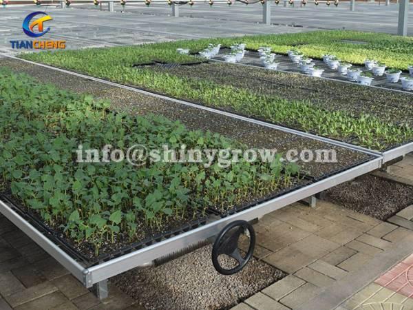 Greenhouse Rolling Benches for Efficient Greenhouse Operation
