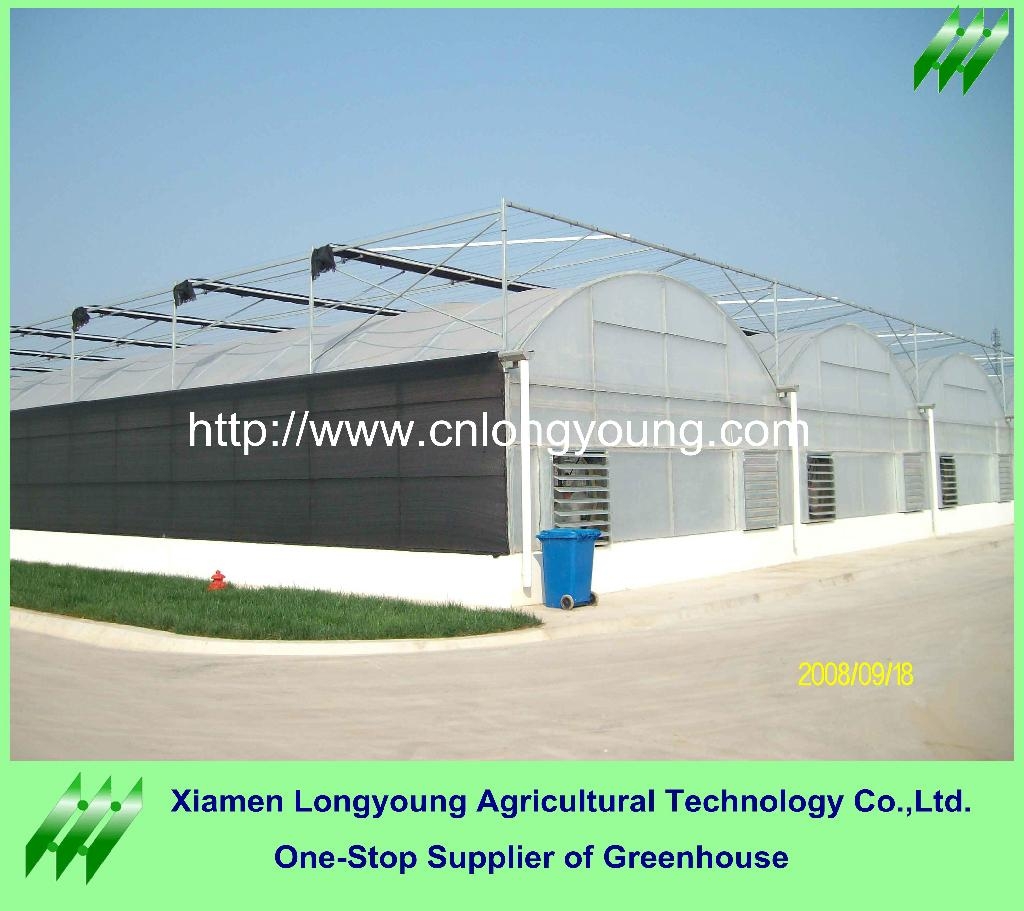 big greenhouse