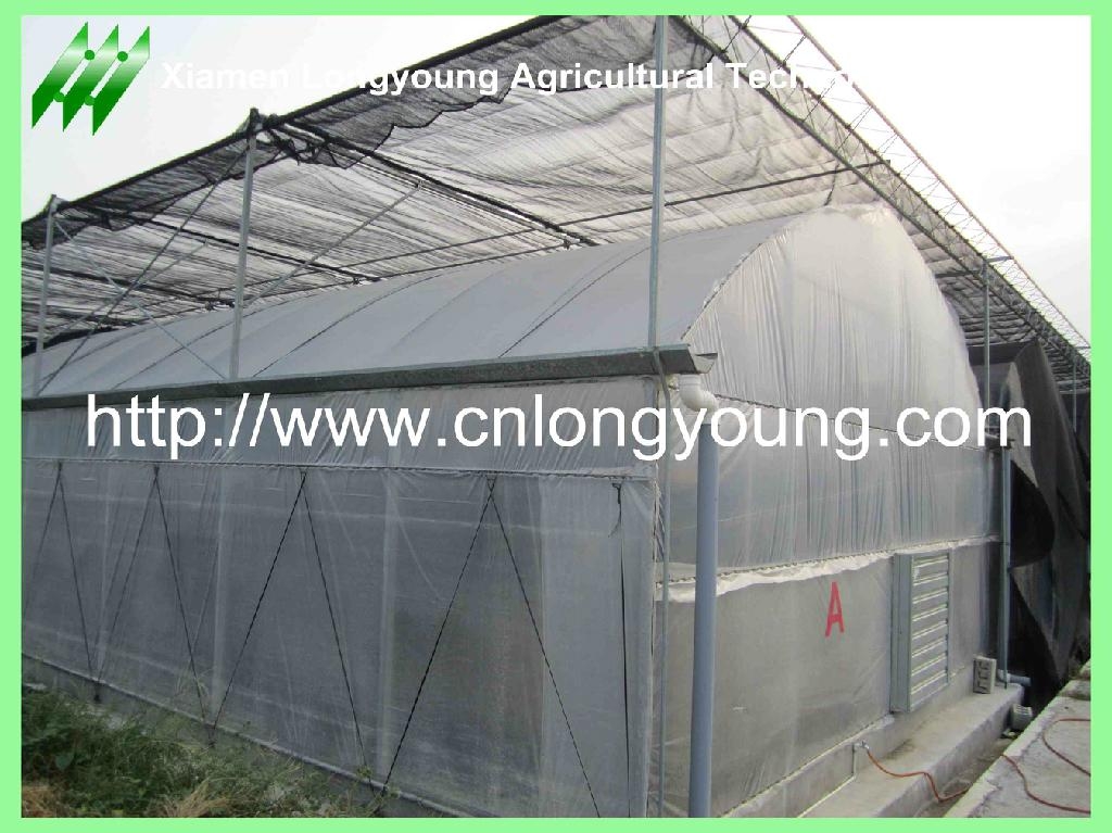 high tunnel greenhouse