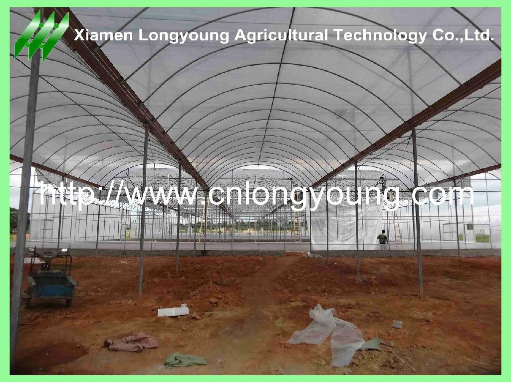 galvanized pipe greenhouse