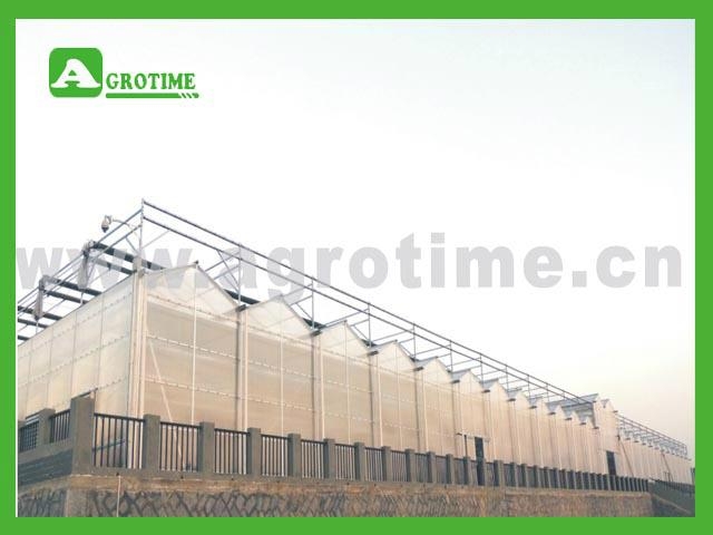CMV1040larger multi-span greenhouse