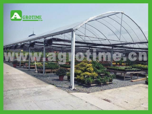 CMY4050Economical Multi-Span Greenhouse