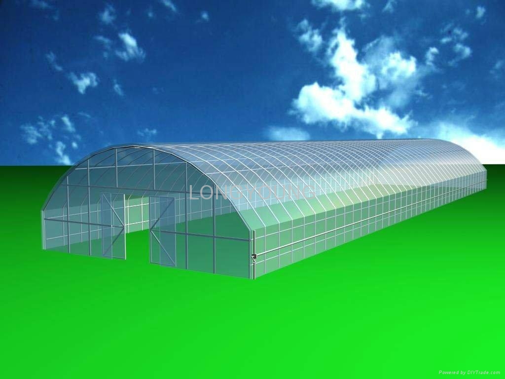 Tunnel Greenhouse for agriculture