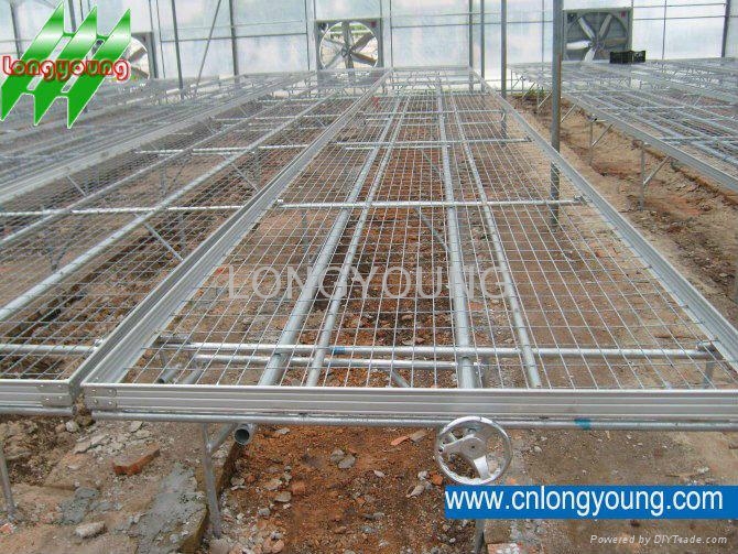 Plant Bench For Greenhouse