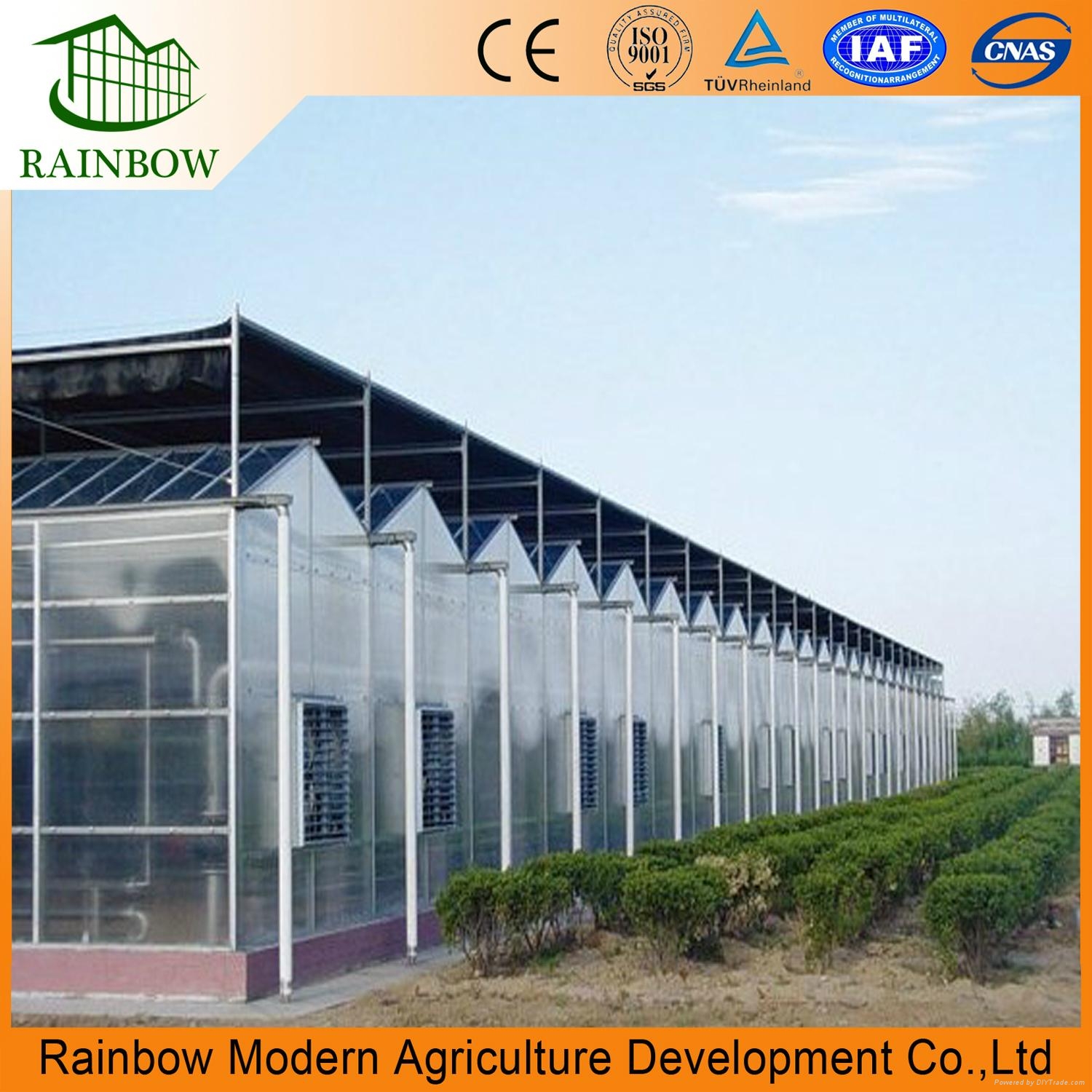 Tropical Multi Span Polycarbonate Sheet Greenhouse For Agriculture