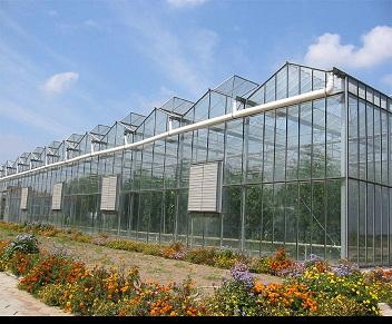 The glass greenhouse