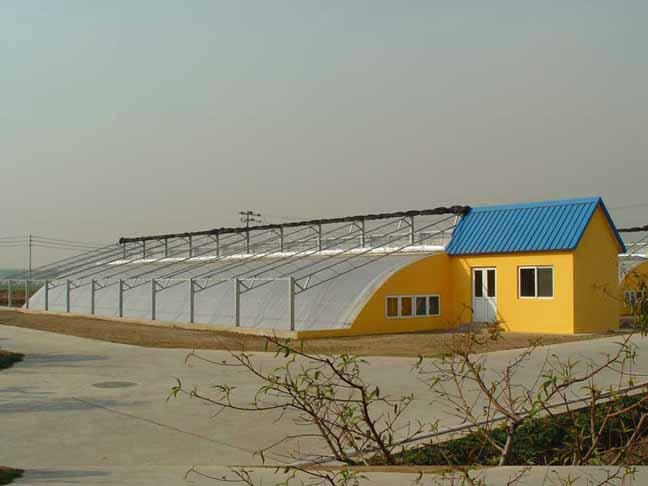 The solar greenhouse