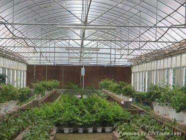 the agricultural greenhouse