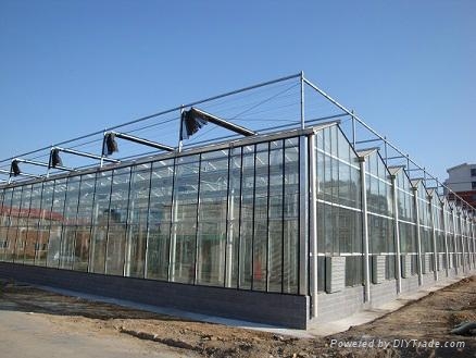 glass greenhouse project-hot sale