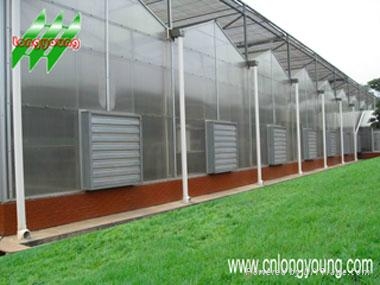 Polycarbonate(PC) greenhouse