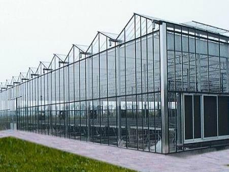 Glass greenhouse good quality for sale