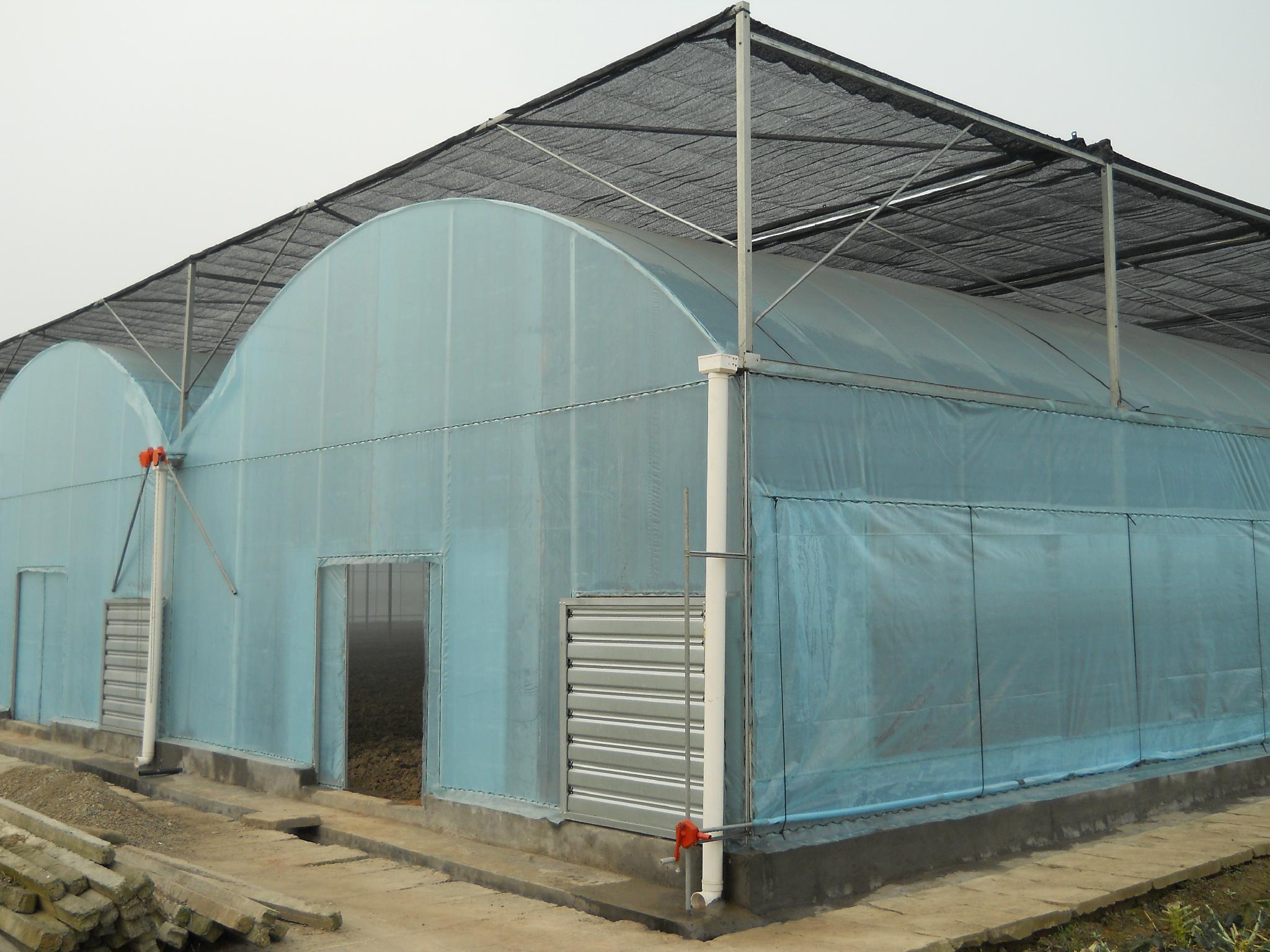 low cost price Plastic film greenhouse